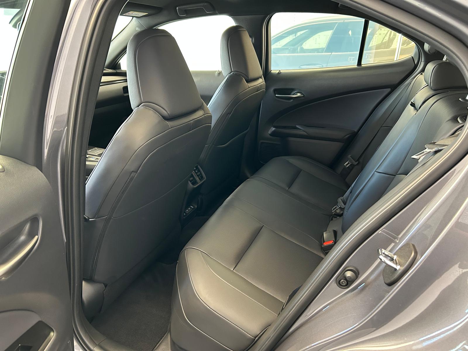 UX 300e