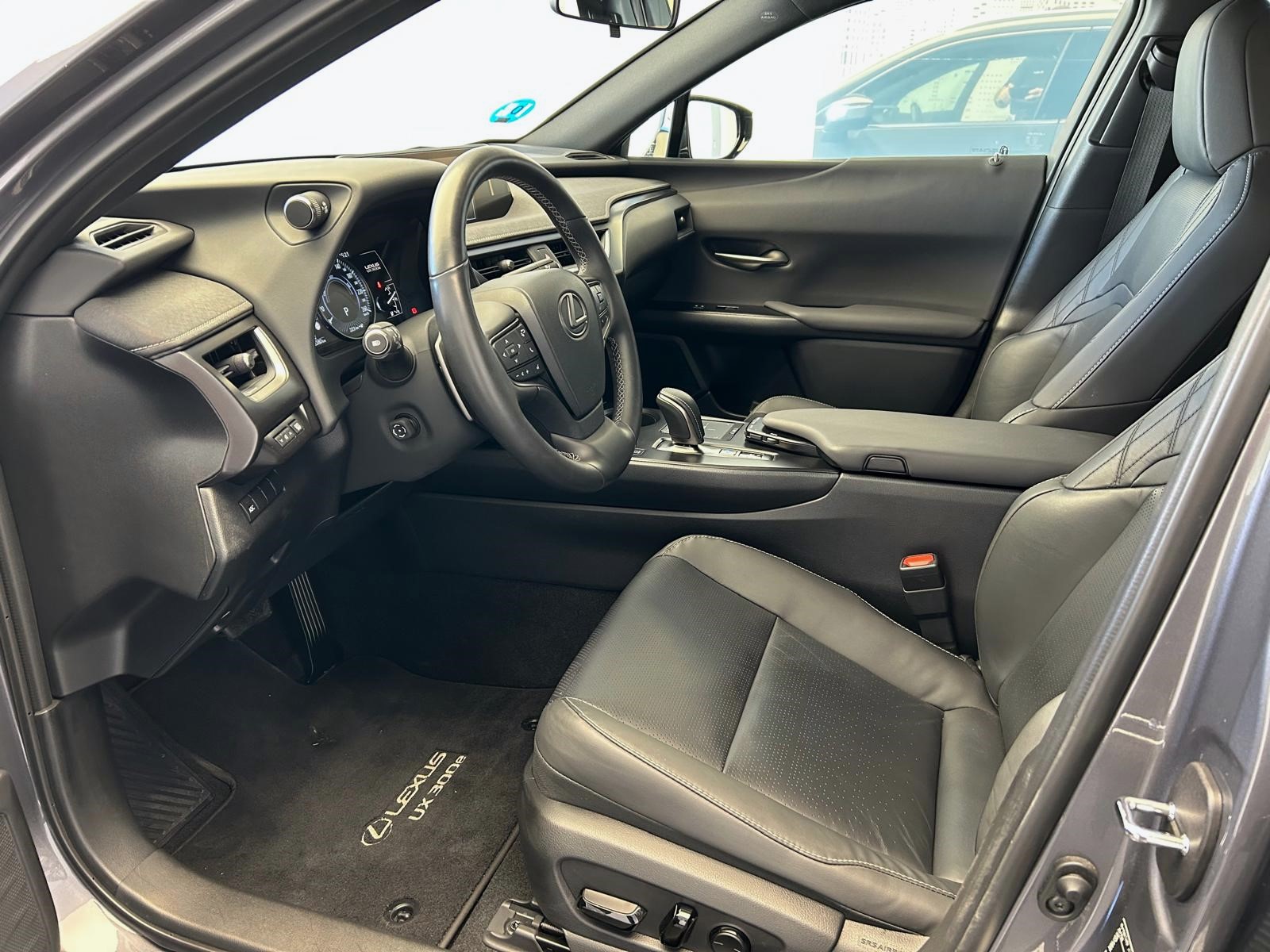 UX 300e