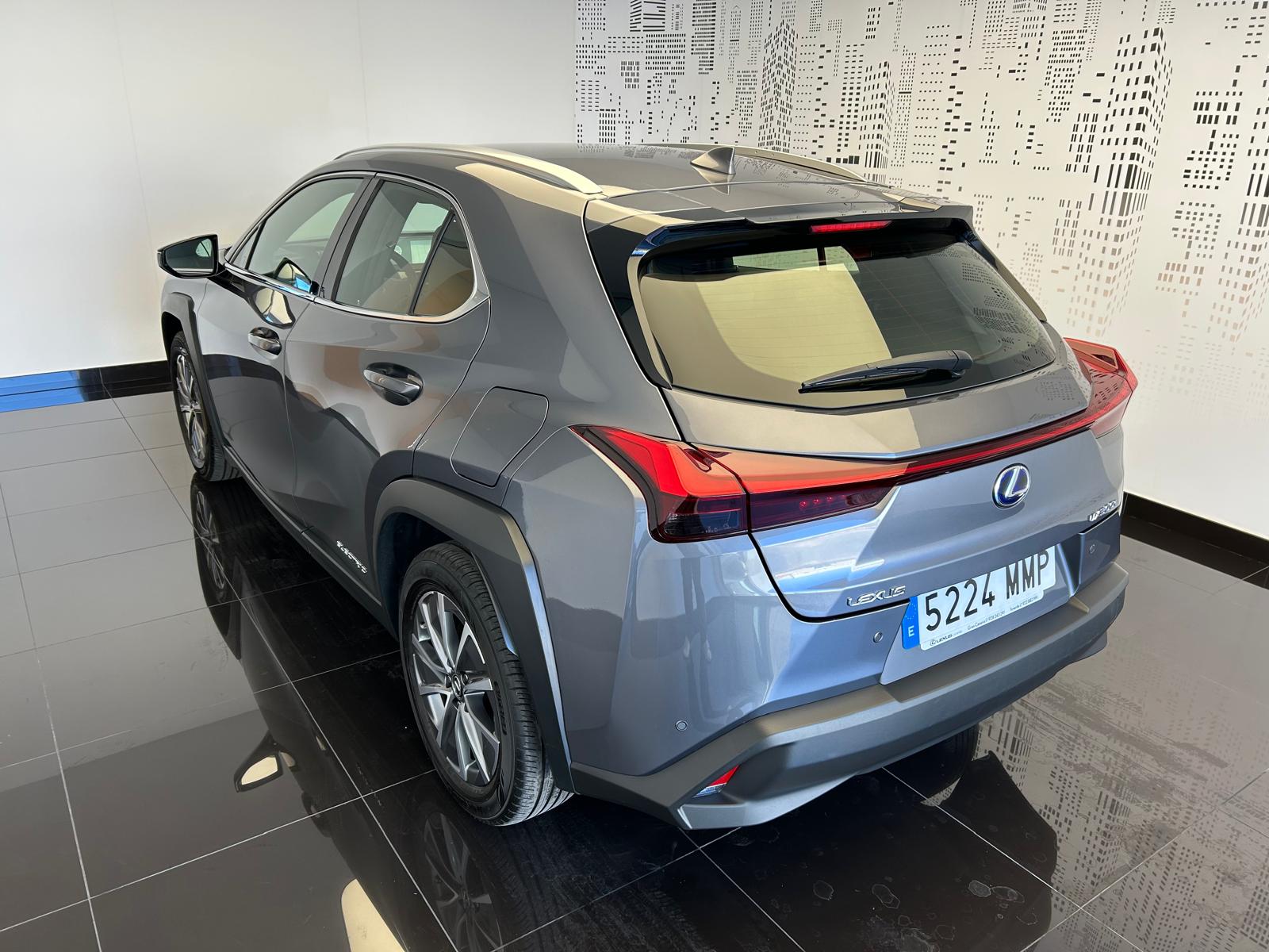 UX 300e