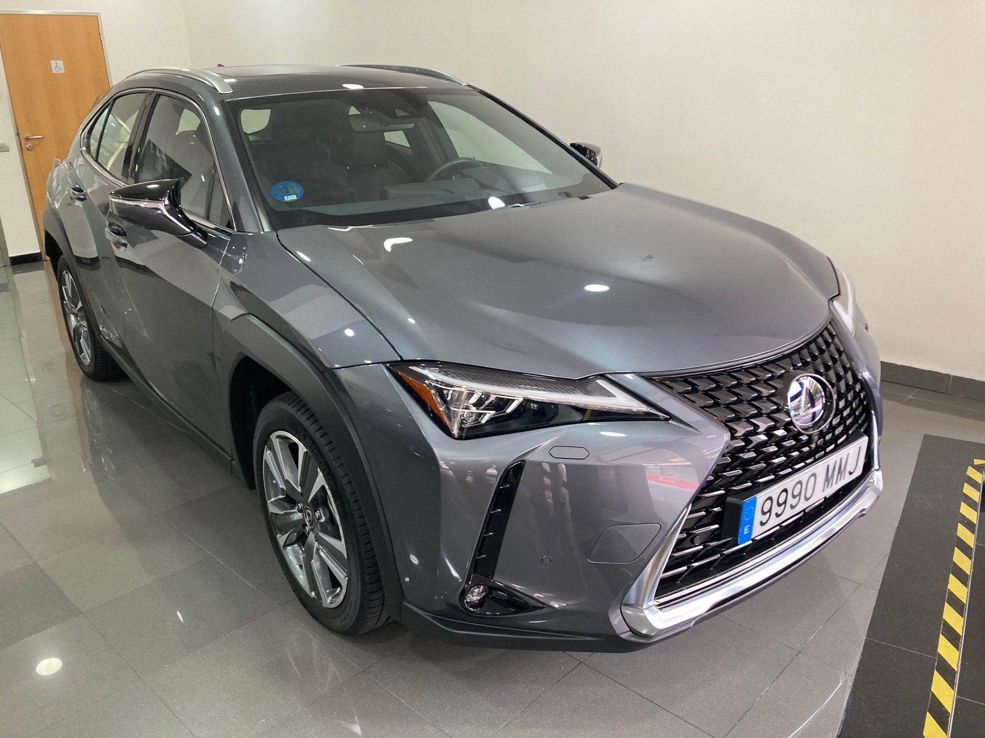 Lexus UX 300e Luxury