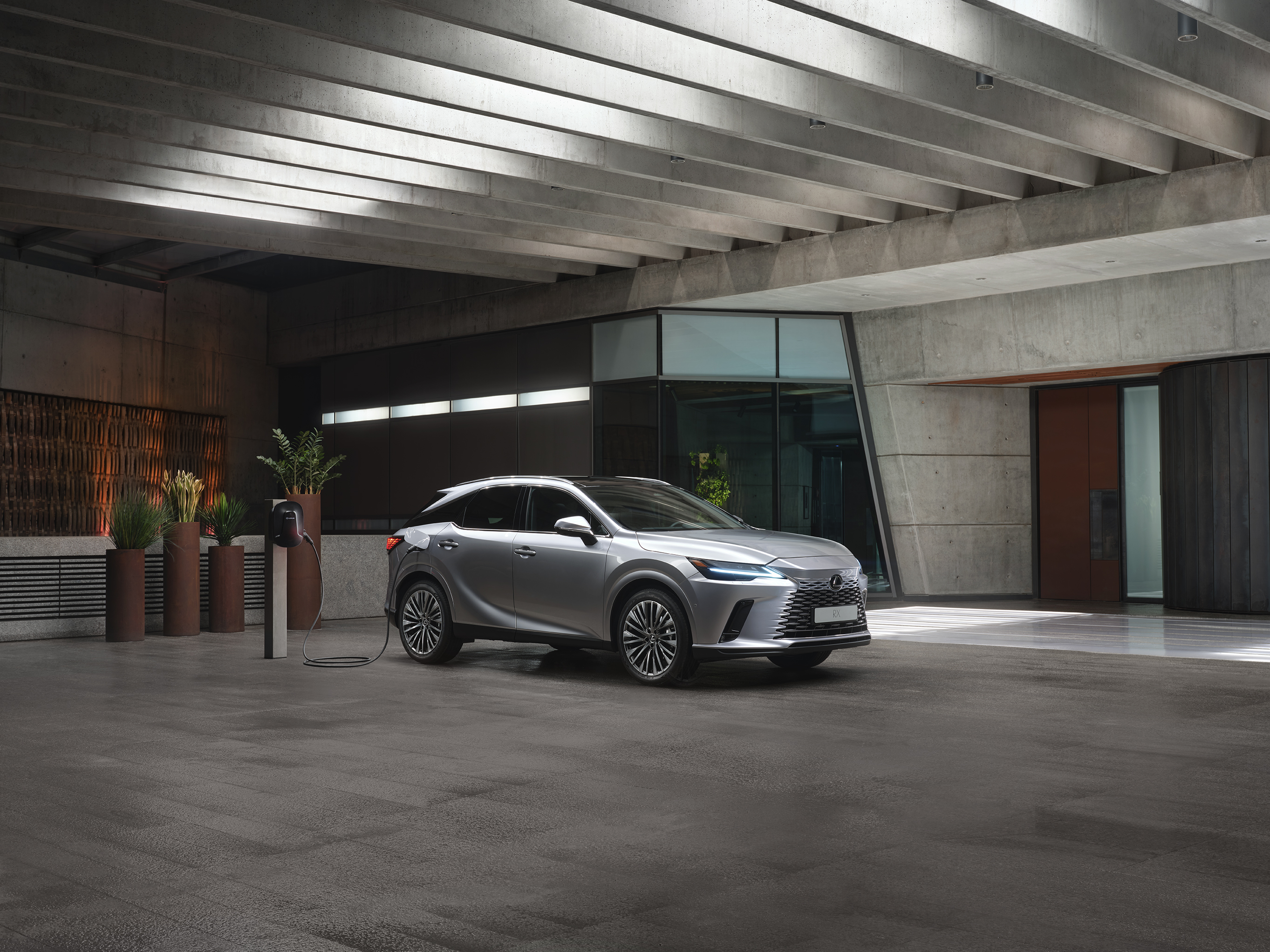 RX Colores Exterior 3